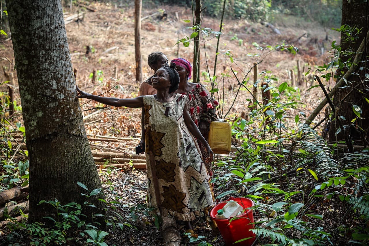 Kwango province, Democratic Republic of the Congo. Credit: Ley Uwera for The Tenure Facility.